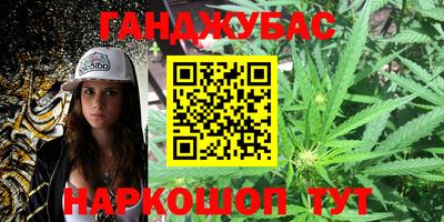 молекула духа Будённовск