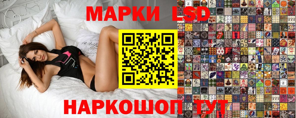 Новозыбков  где можно купить наркотик  Марки 25I-NBOMe  Вход с VPN  Марки 25I-NBOMe 1500мкг  Марки 25I-NBOMe 1500мкг 